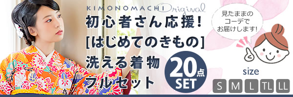 着物初心者さん応援洗える着物セット