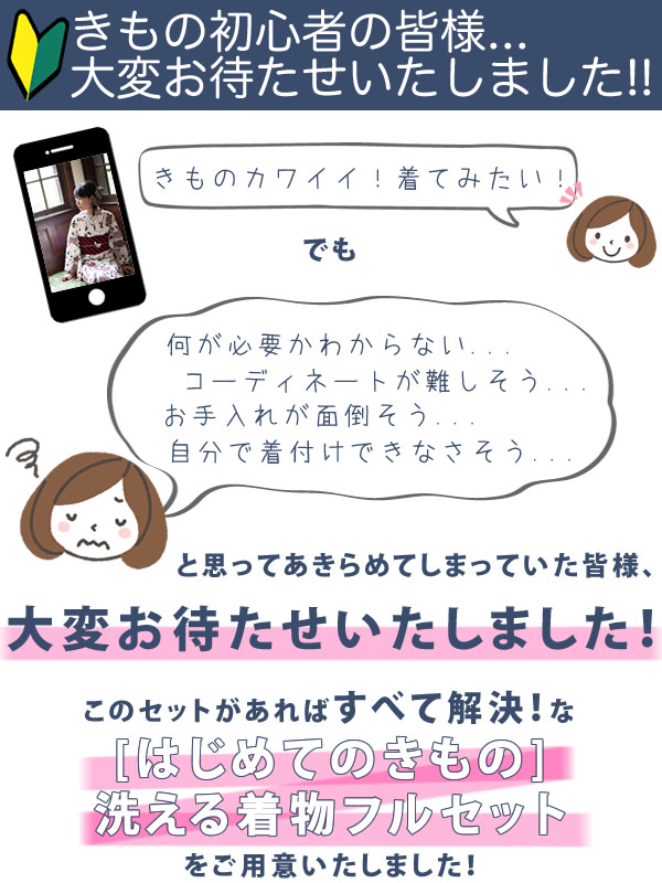 きもの初心者向けの着物セットです