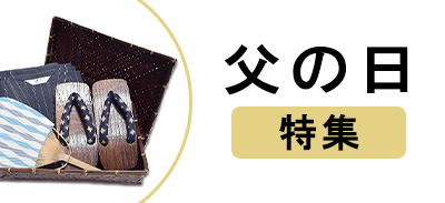 訪問着附下色無地小紋紬など要在庫確認  未使用  爪織  八寸名古屋帯 （b33-2143ryam）