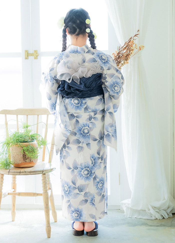 向日葵 ゼニスブルー