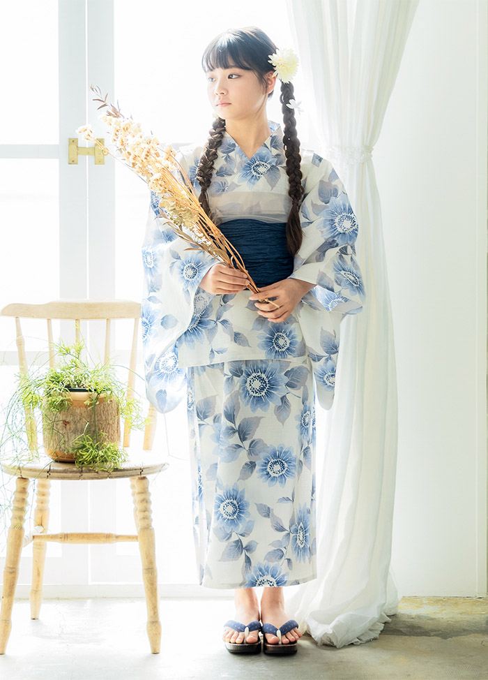 向日葵 ゼニスブルー