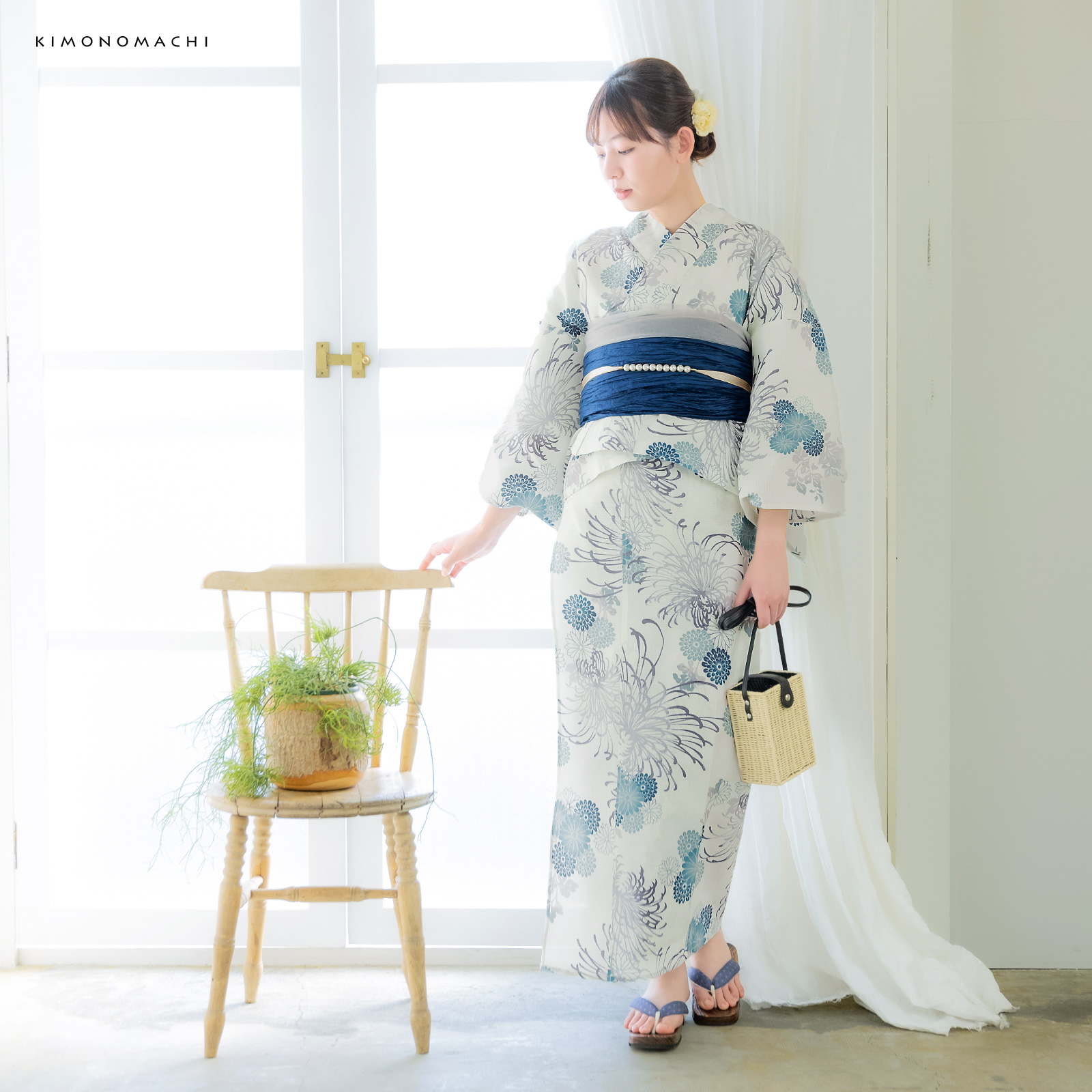 綿女性浴衣二部式：糸菊に菊花紋　ブルー