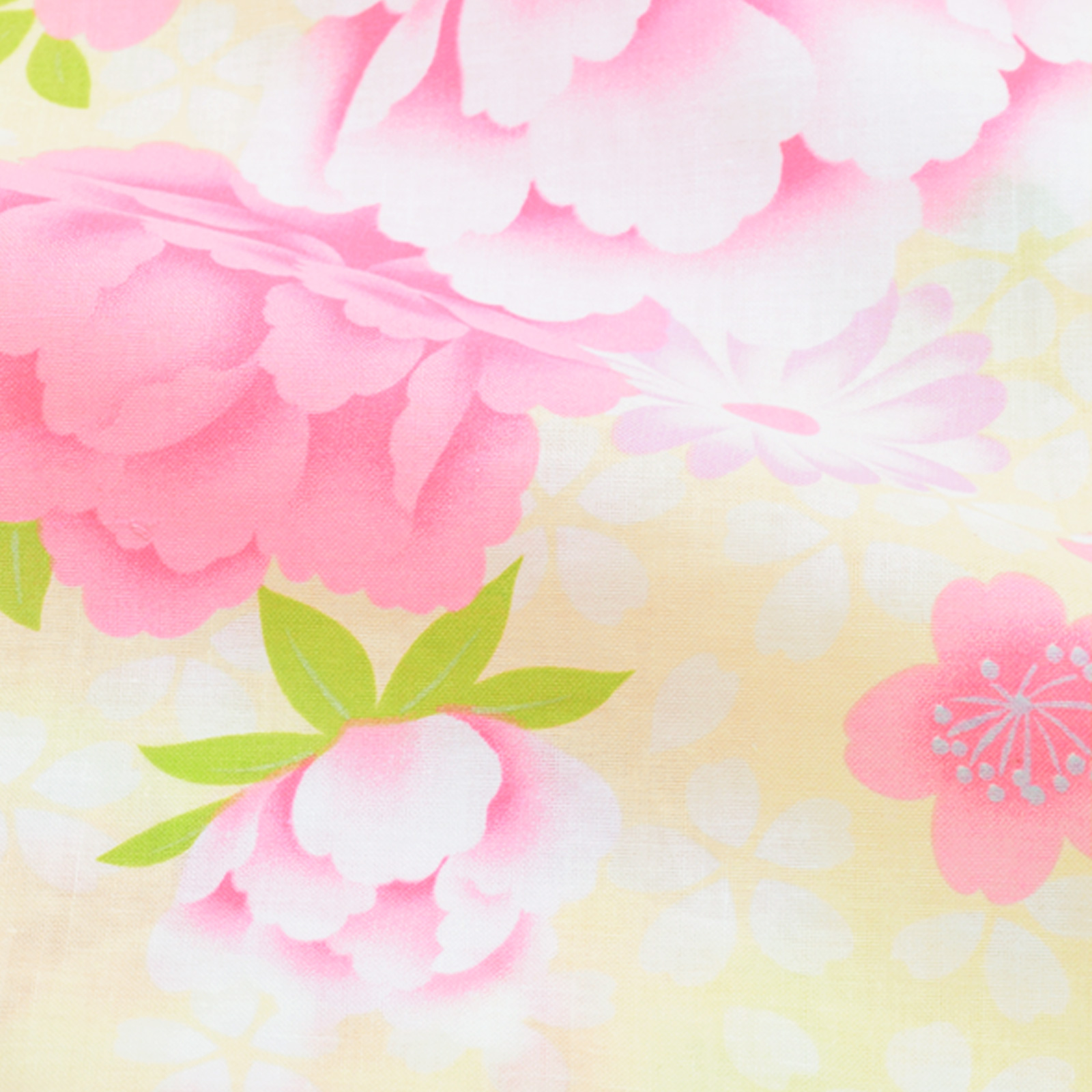 02クリーム　牡丹と菊、桜set